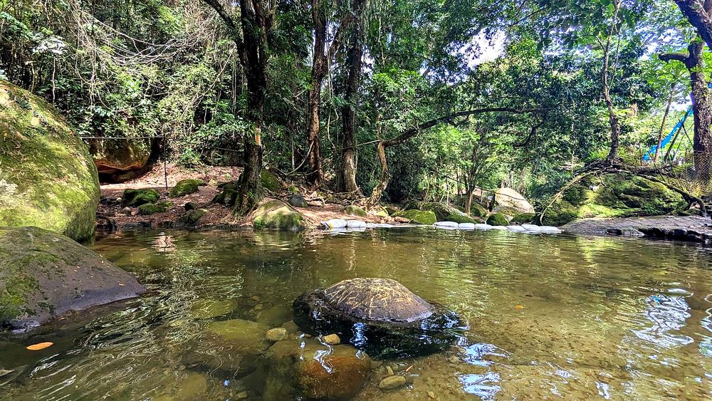 Clear water and boulders at the Quebrada La Cajita creek near Melgar, Tolima